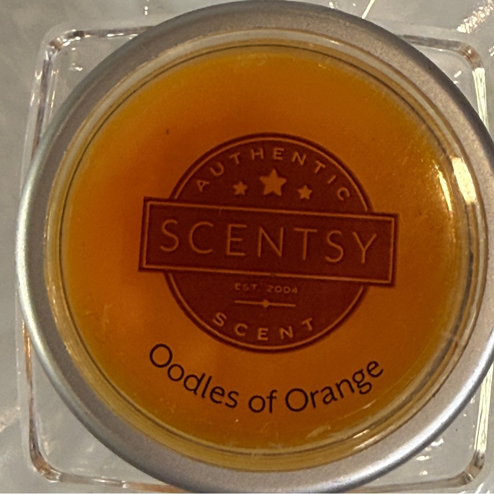 🆕 “Oodles of Orange” Authentic Fragrance Pod – Bright Citrus Burst